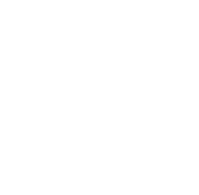 Working phase